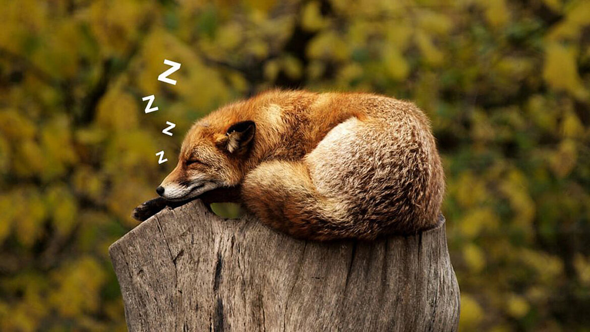 Deine Schlafroutine zahlt sich aus Schlaf hilft!