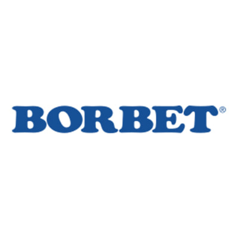 Logo Borbet