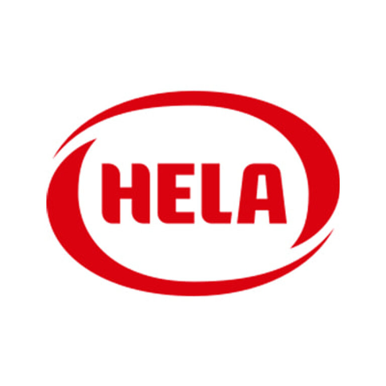 Logo Hela