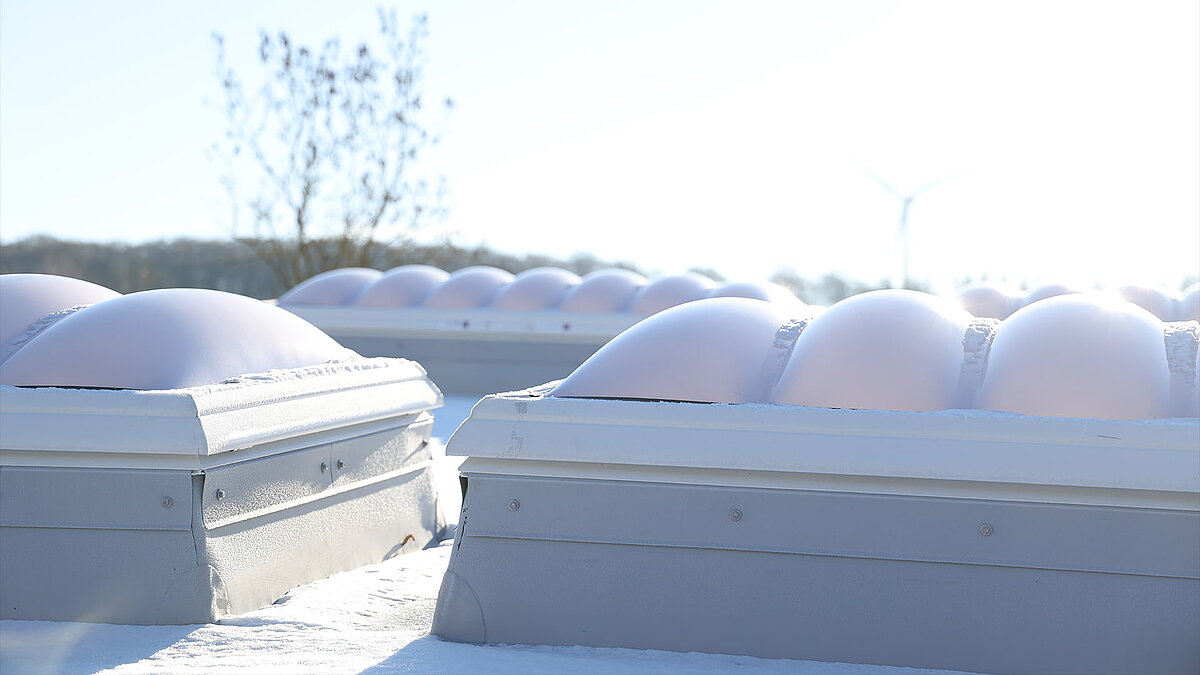 Mehrere wellenförmige Lichtkuppeln, die vom Schnee bedeckt sind.