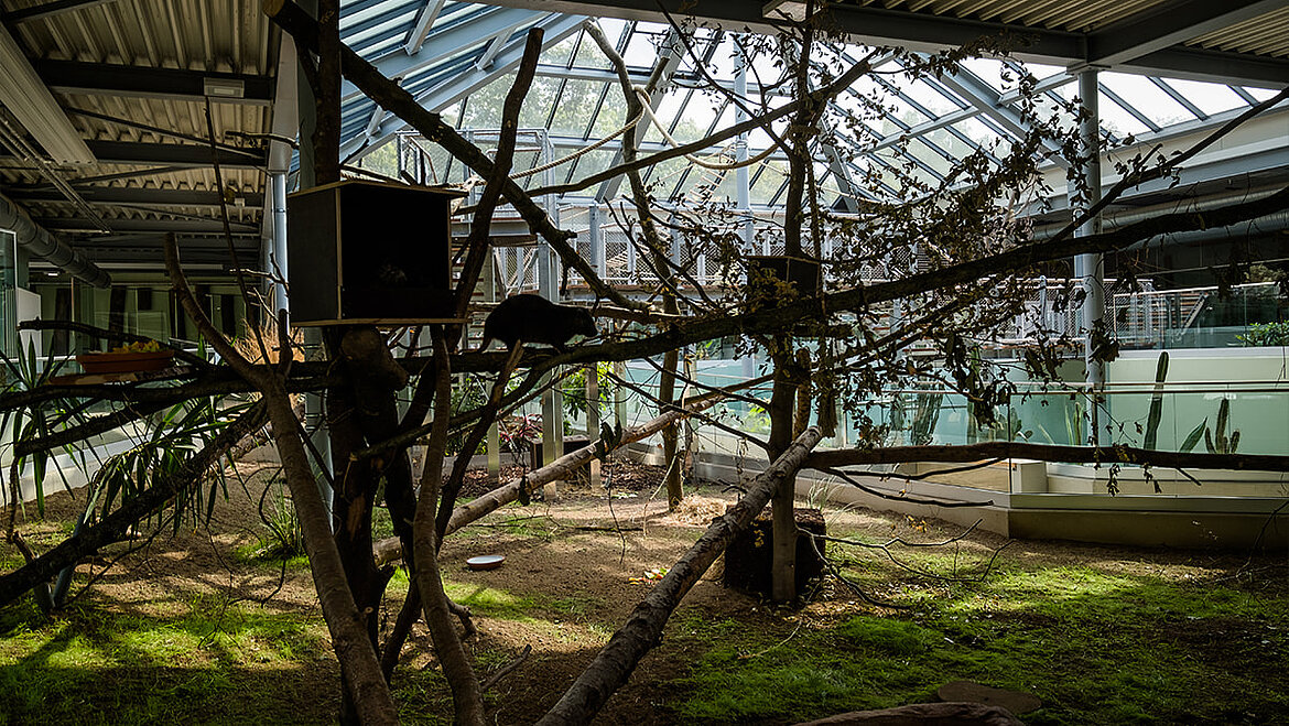 Tiergehege im Zoo Neuwied Tiergehege im Zoo Neuwied | insights by LAMILUX