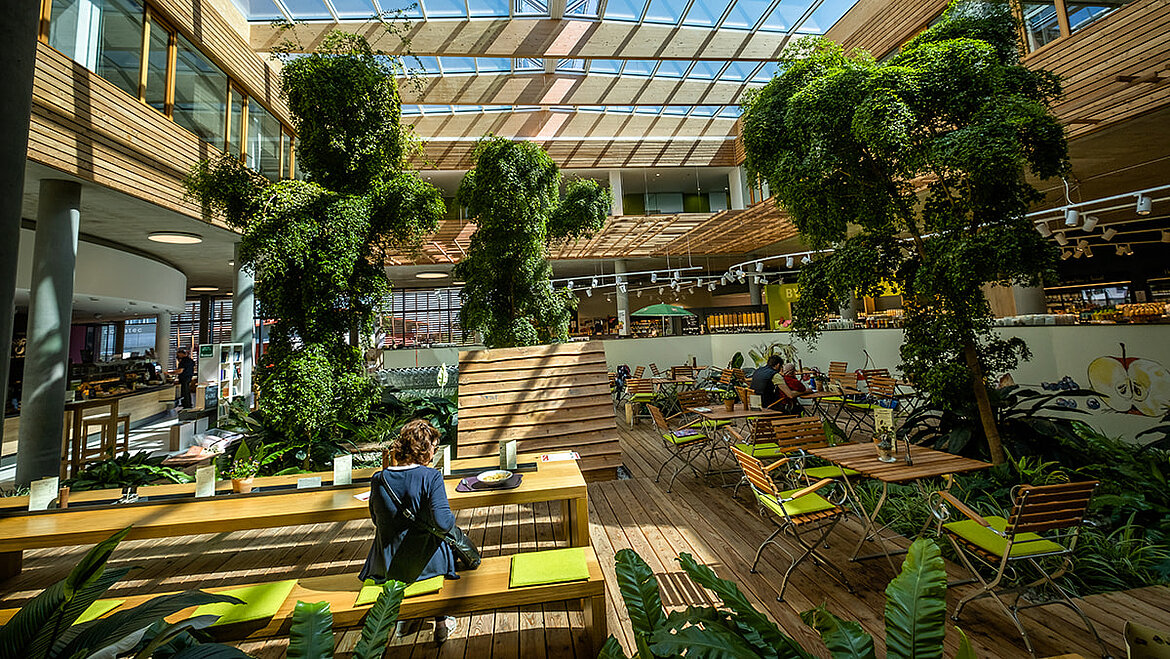 Byodo Mühlendorf mit großen Glasdachfenstern, viel Grünpflanzen und Sitzbereich in natürlicher Atmosphäre