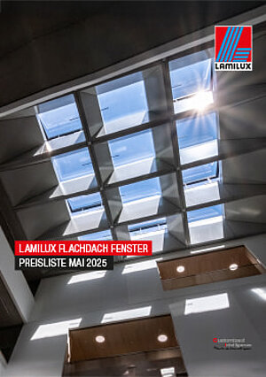 Flachdach Fenster