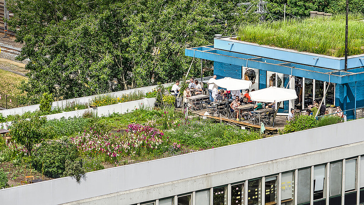 Intensiv begrüntes Dach als Dachgarten 