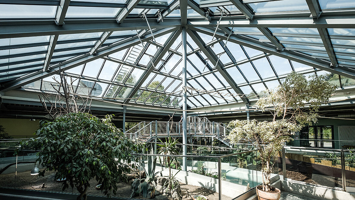 Glaspyramide im Zoo Neuwied Glaspyramide im Zoo Neuwied | insights by LAMILUX