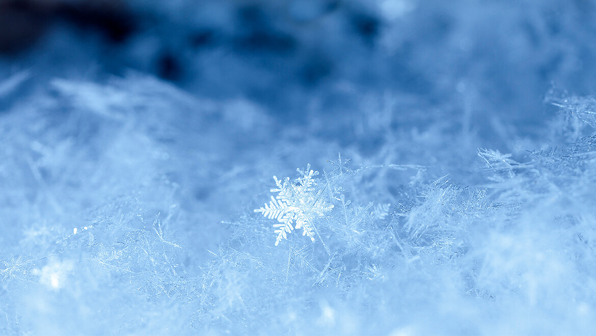 Makroaufnahme einer Schneeflocke auf gefrorener Oberfläche.