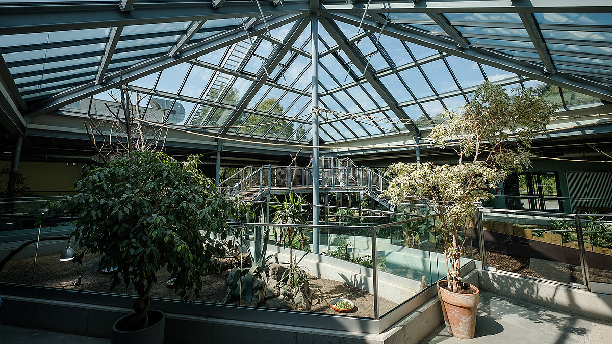 Innenansicht des Zoo Neuwied mit der PR60-Glaskonstruktion, Pflanzen und Gehegen.