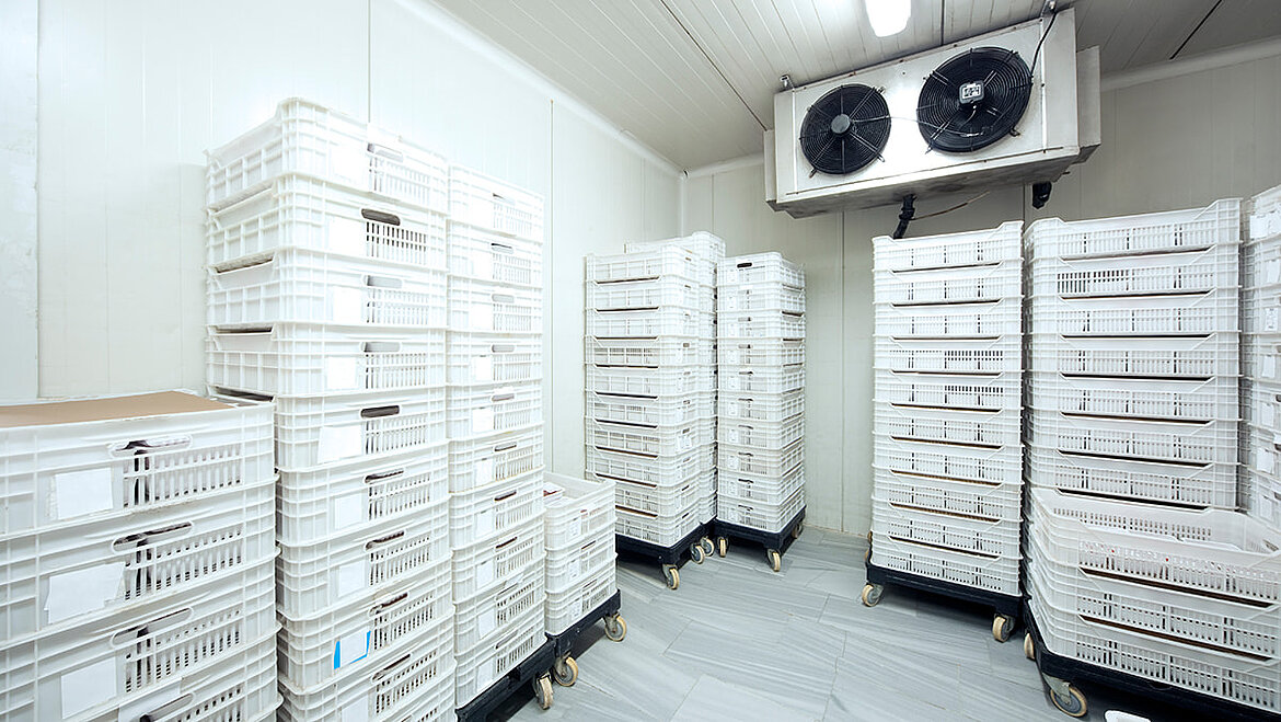 Kühlraum mit GFK Kühlraum mit Kisten und GFK-Wandverkleidung
