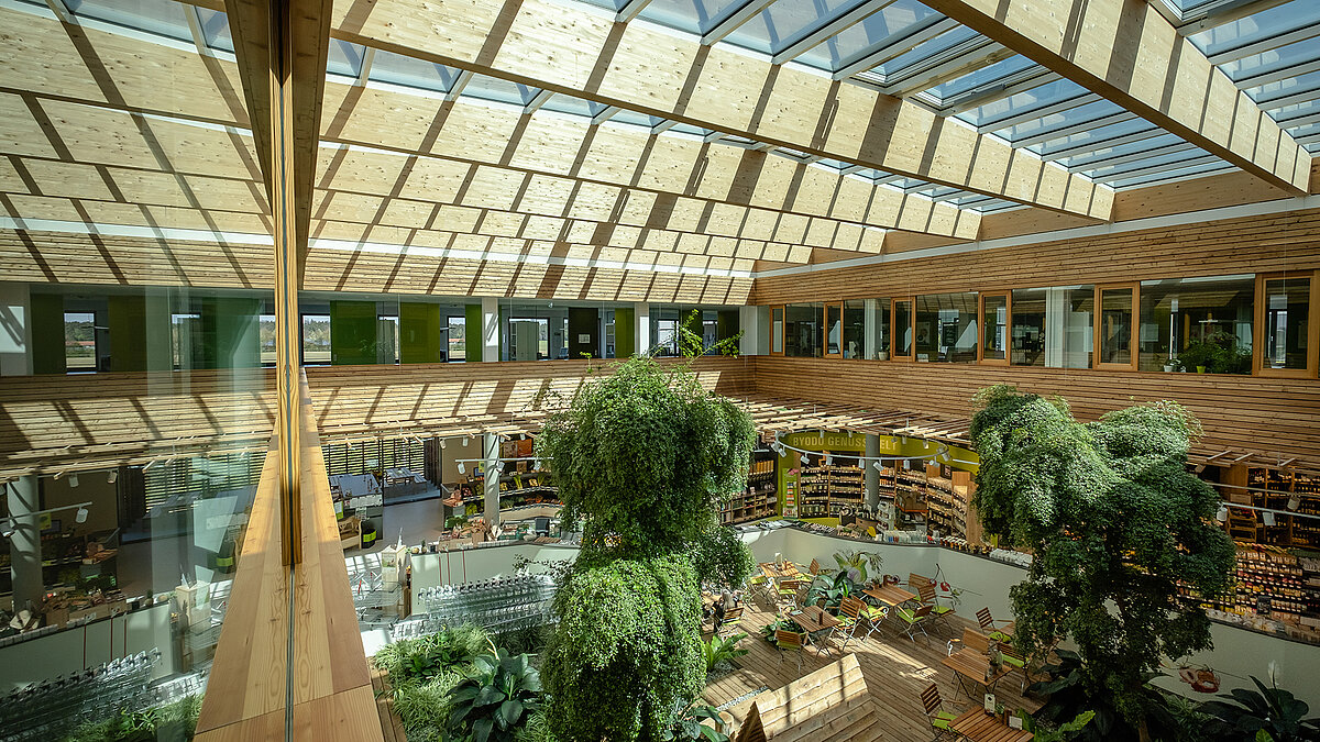 Oberer Blick auf das lichtdurchflutete Atrium des Naturkostladens Byodo in Mühldorf, mit großen Glasoberlichtern, Holzverkleidung und üppigen Pflanzen.