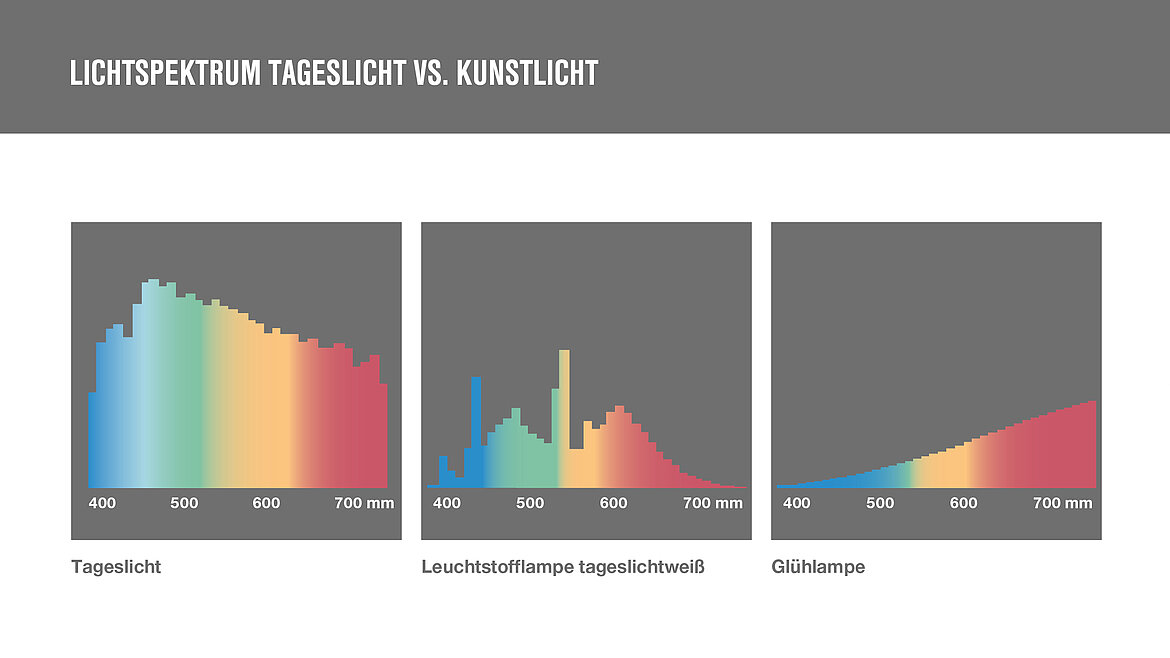 Grafik Lichtspektrum Tageslicht vs. Kunstlicht | insights by LAMILUX