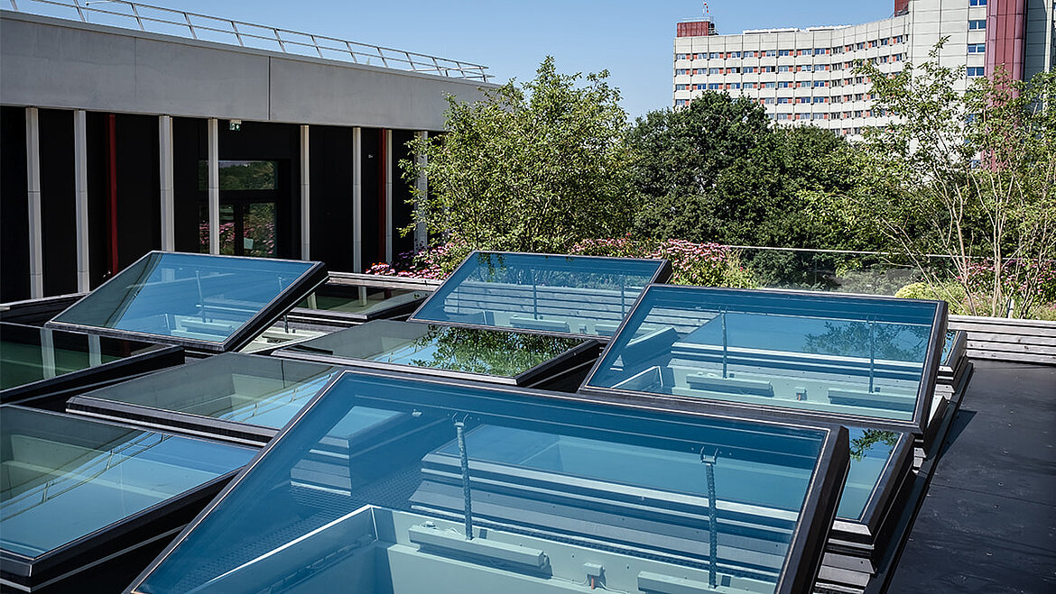 Mehrere Flachdach Fenster für maximalen Tageslichteinfall.