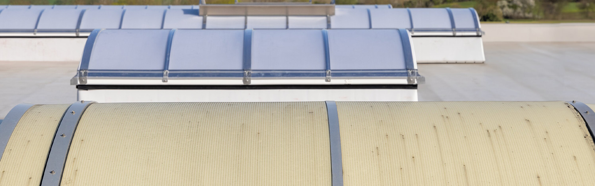 Sanierung: altes vergilbtes Lichtband und neues LAMILUX Lichtband B auf Flachdach