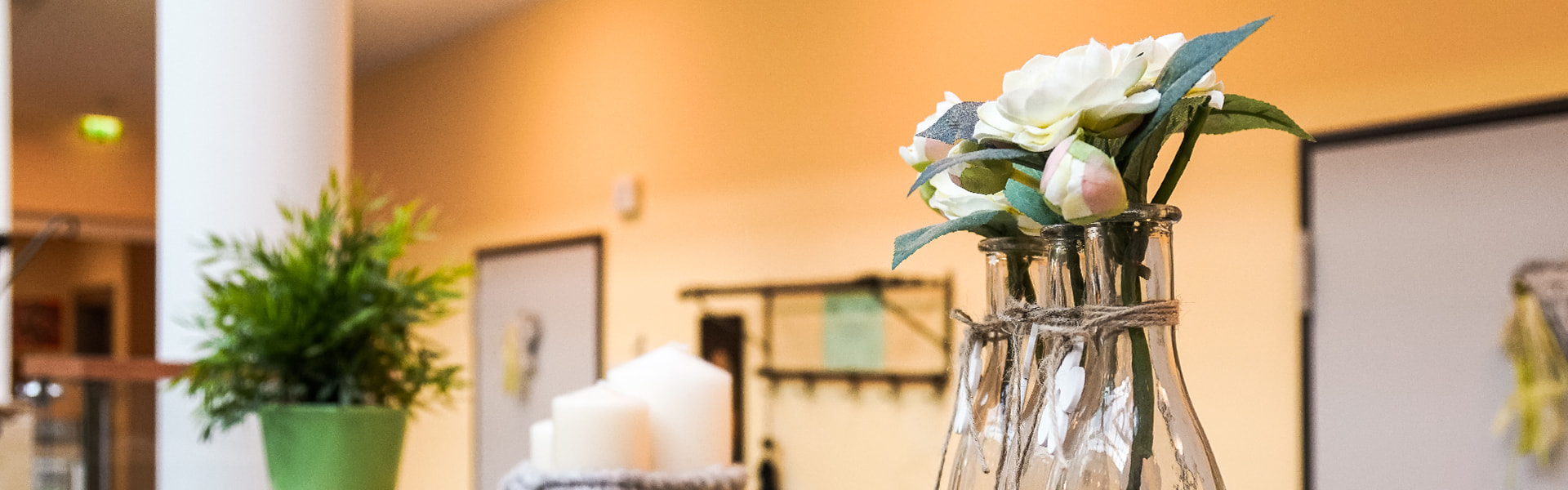 Blumen im Mehrgenerationenhaus in Rehau | insights by LAMILUX