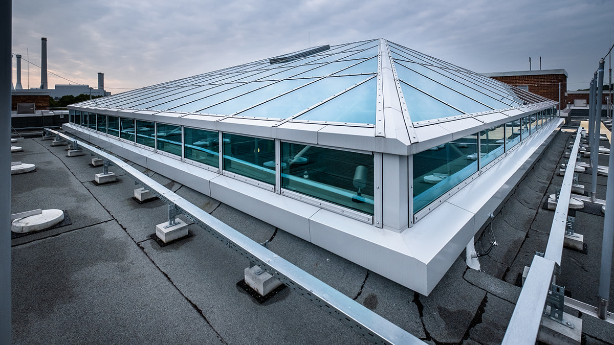 LAMILUX Sanierung des Dante - Gymnasiums in München 