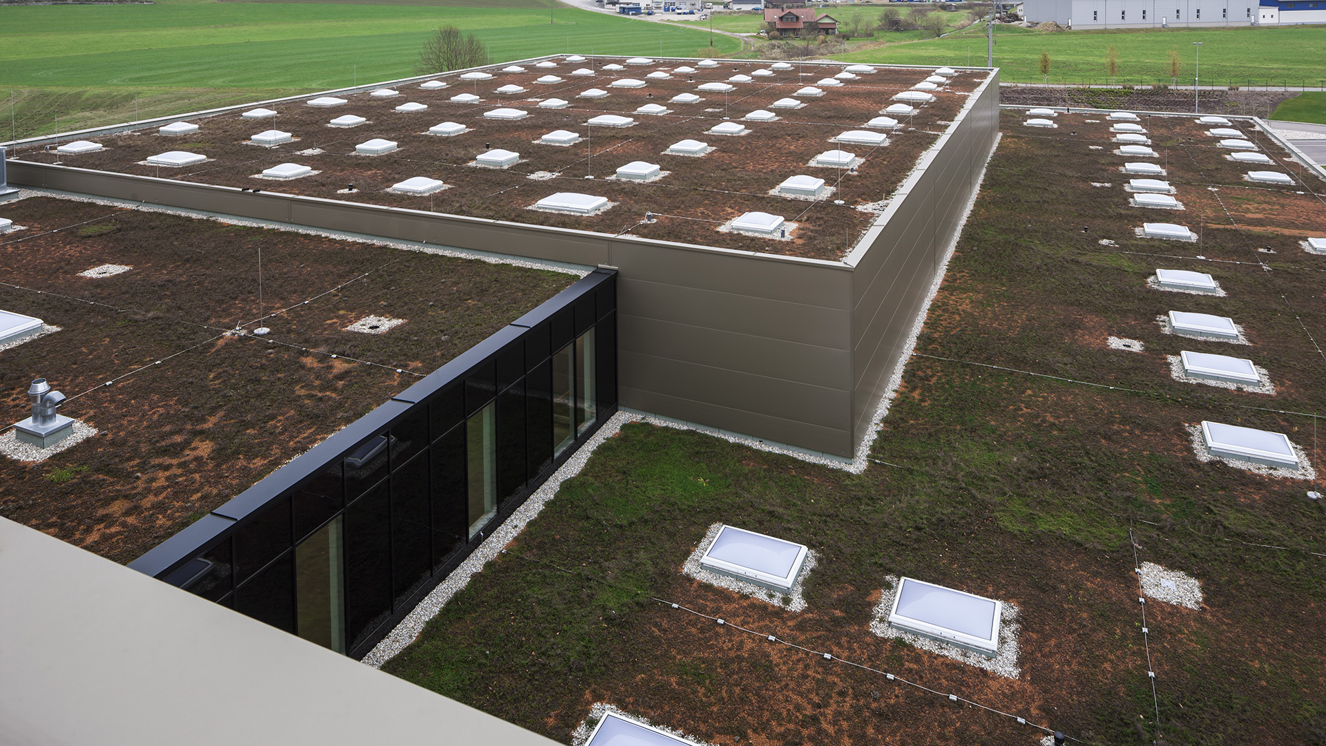 Außenansicht vom Dach des Zaltech-Gebäudes in Moosdorf, Österreich, mit LAMILUX Flachdach Fenstern F100 und runden Flachdach Fenstern FE.