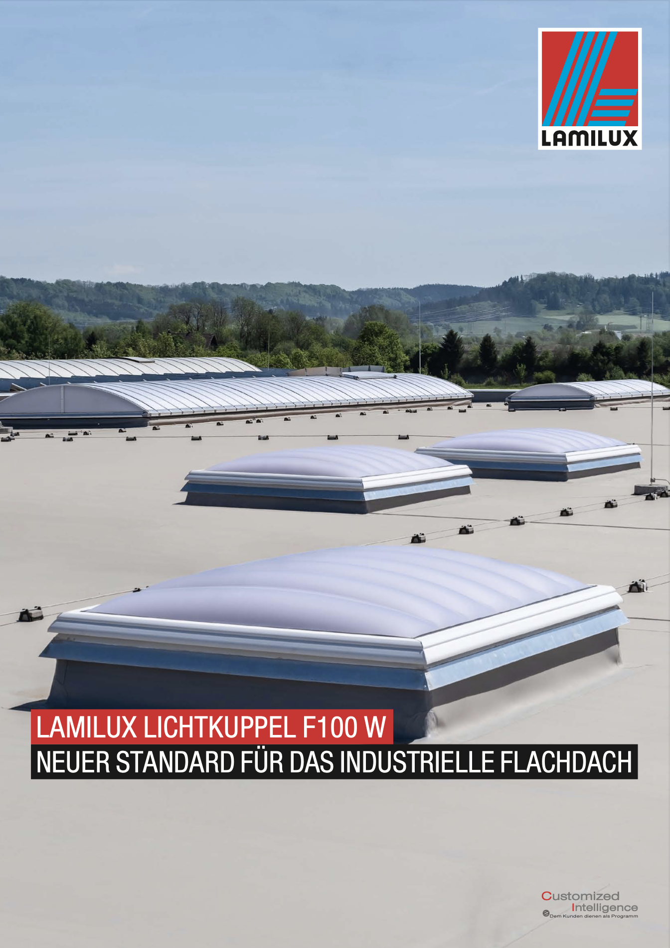 Lichtkuppel F100 W