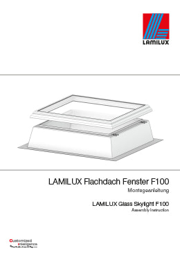Flachdach Fenster F100